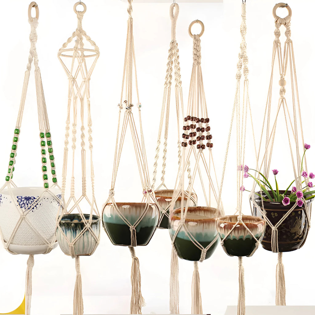 Woven wire decorative plant basket with cotton rope detailing for hanging or desktop plant display