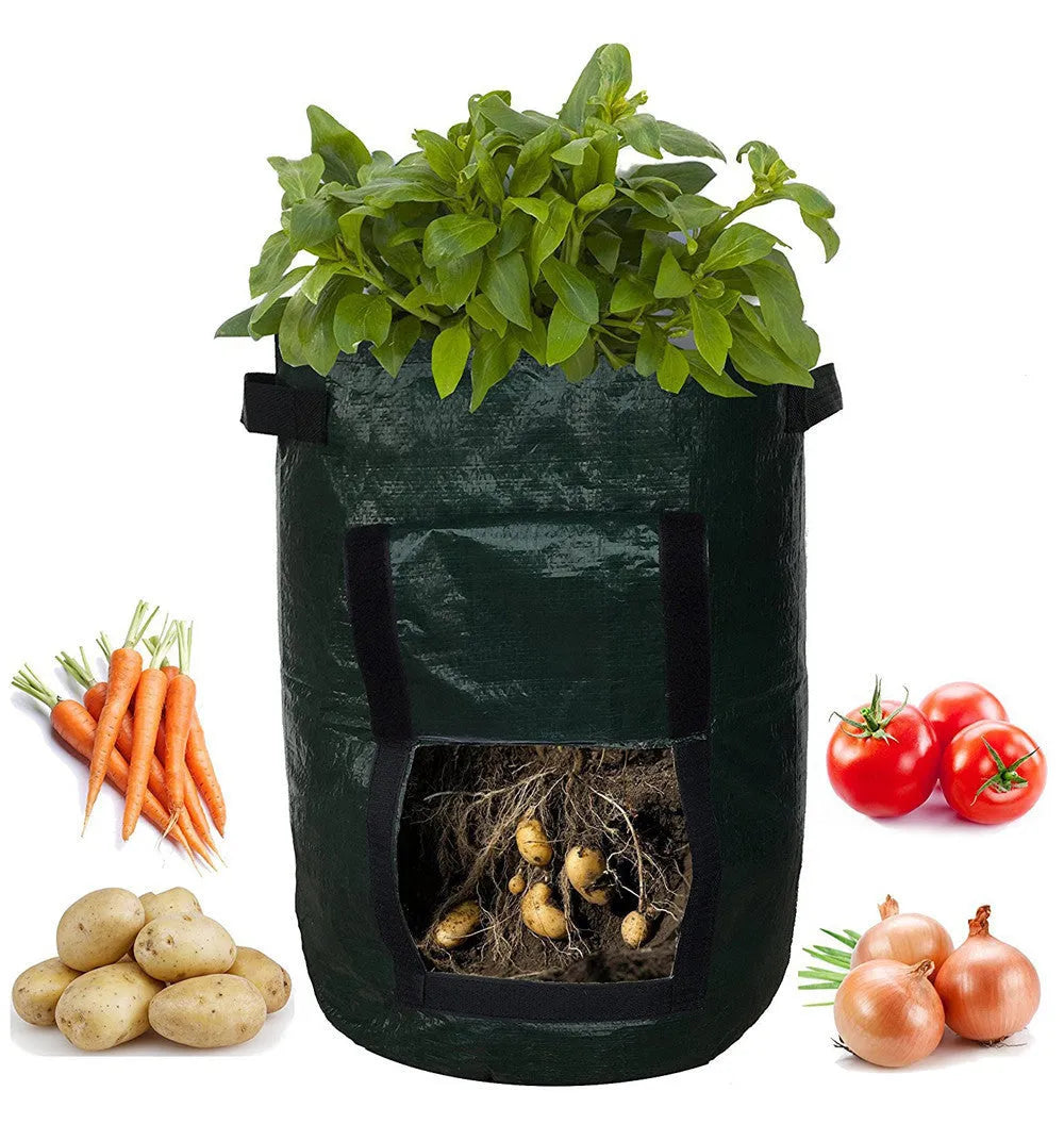 Dark green PE garden planting bag with side windows and double handles on a balcony