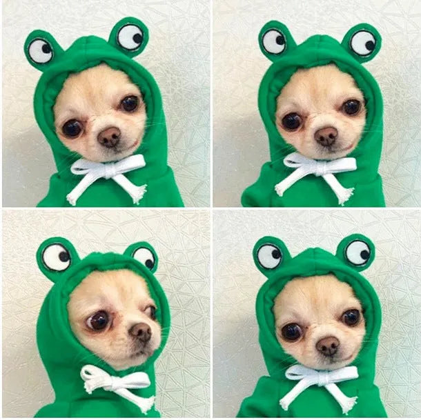 Fruit dog clothes two-legged hooded fleece outfit in green for autumn and winter