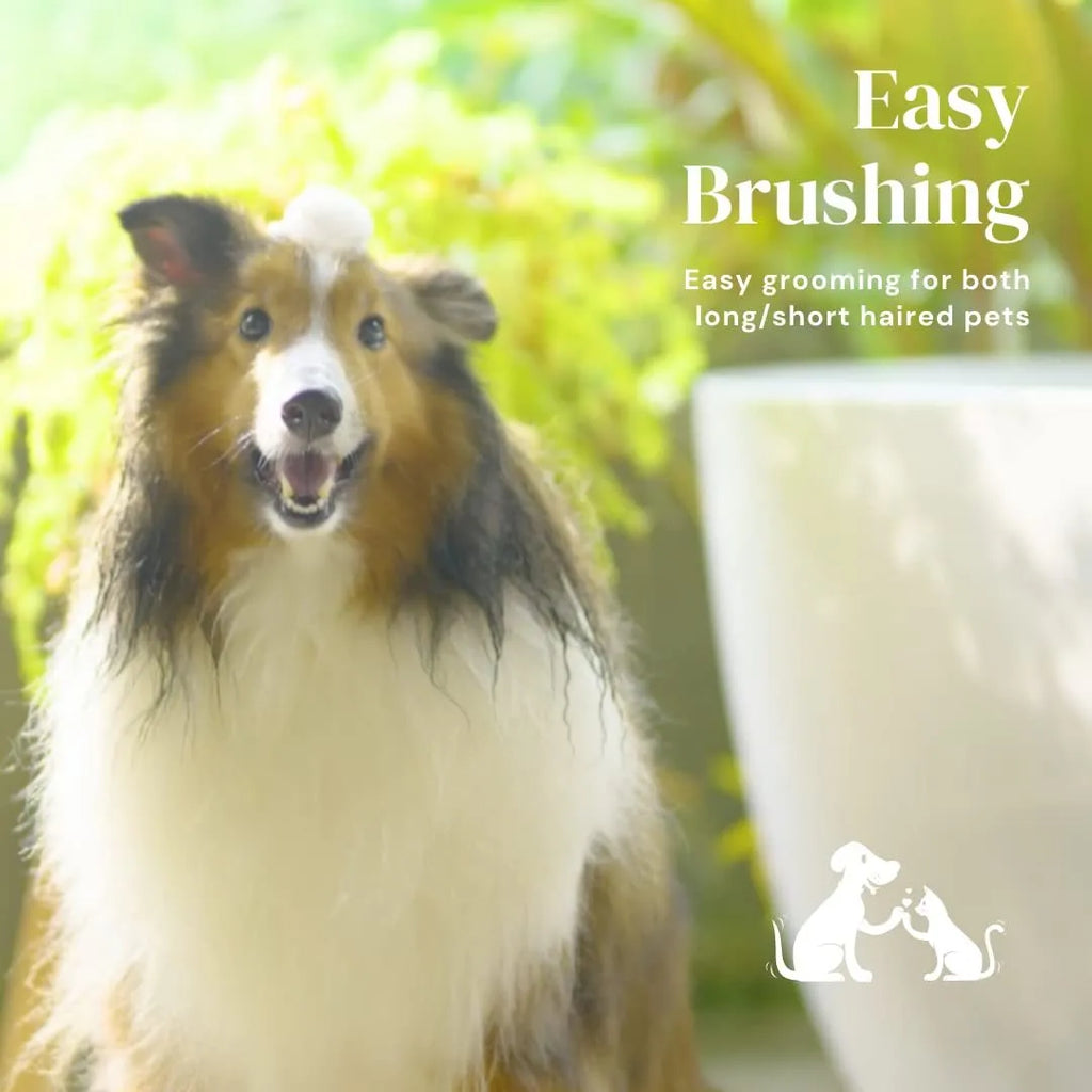 Blue self-cleaning slicker brush for dogs and cats with rubber handle and stainless steel pins.