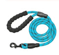 Reflective nylon dog leash with foam handle and zinc alloy hook on a white background