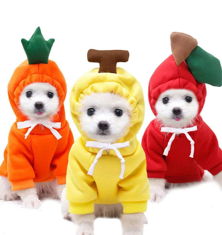 Fruit dog clothes two-legged hooded fleece outfit in green for autumn and winter