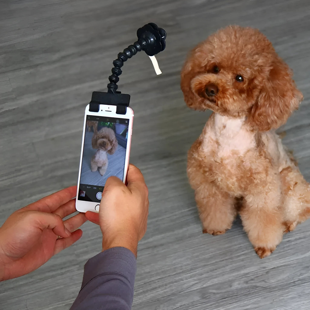 Black and white PVC pet selfie stick with square and flower clips for mobile phone photography.