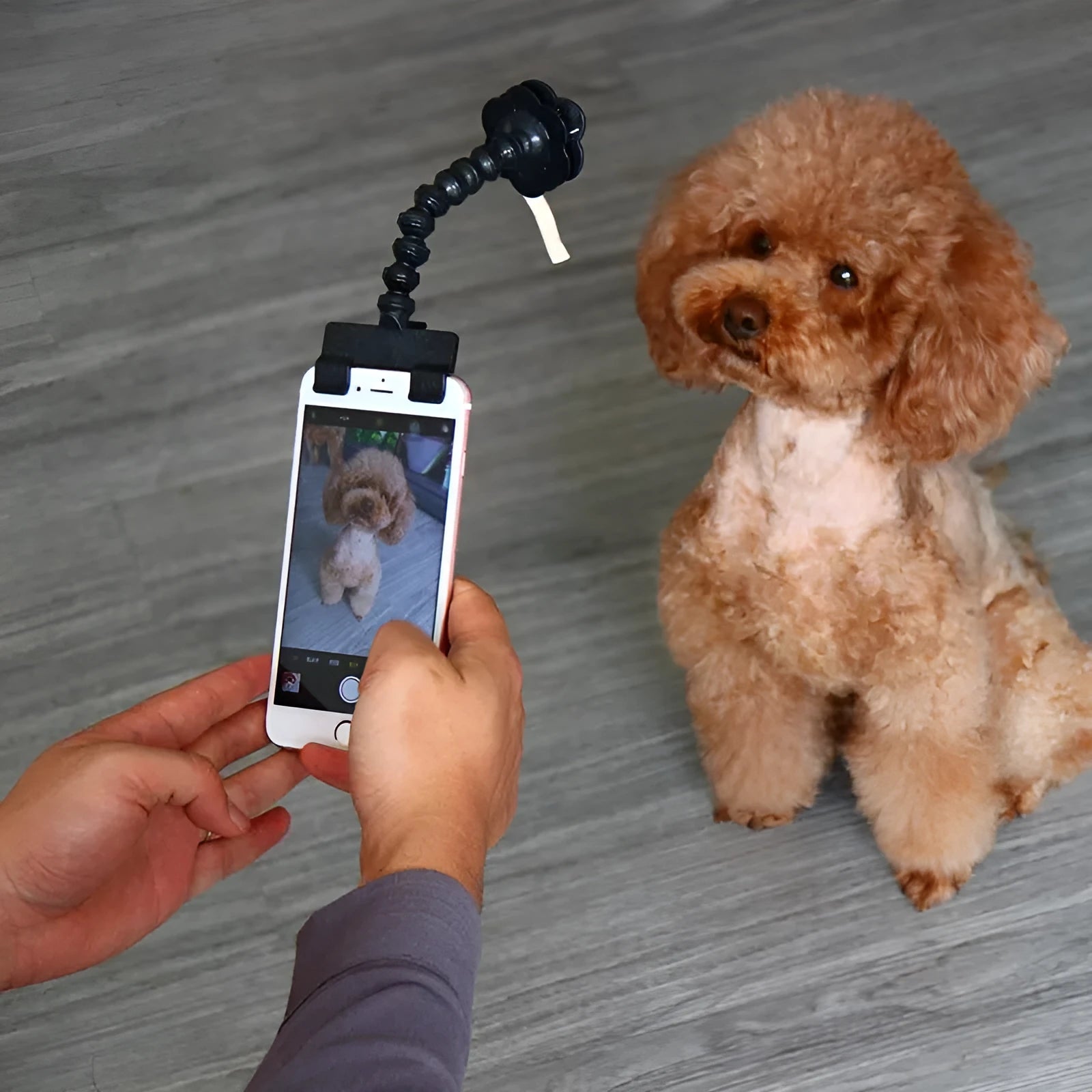 Black and white PVC pet selfie stick with square and flower clips for mobile phone photography.