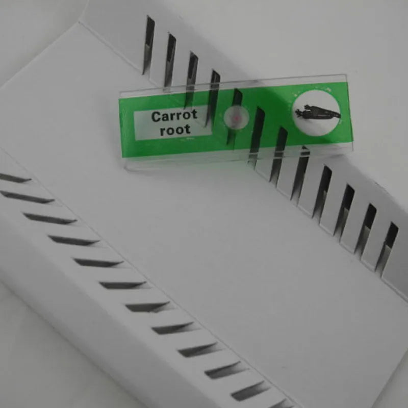 48-piece plastic microscope slide set for children with colour-coded plant, insect, and animal specimens
