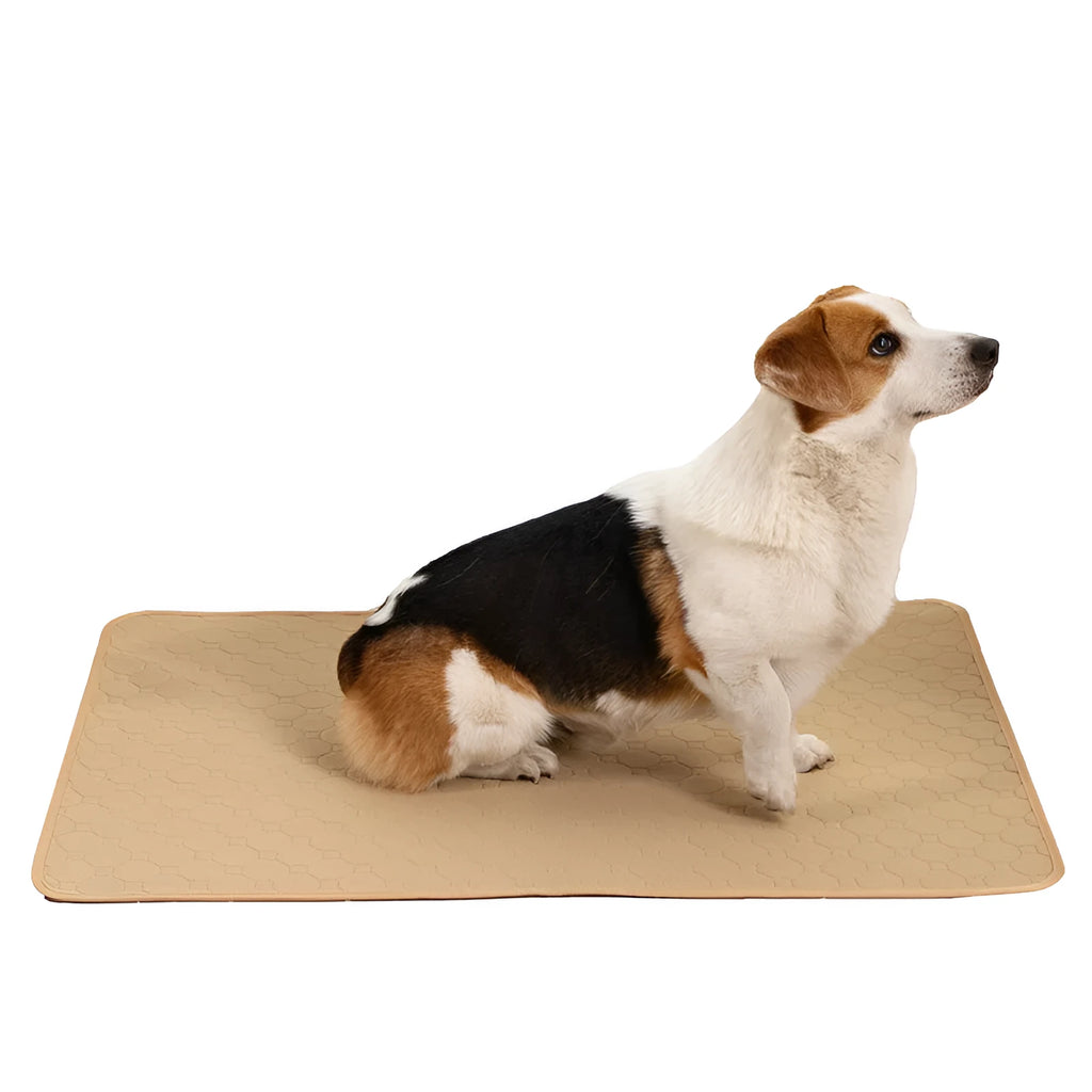 Repeated water absorption cloth dog training pad in grey colour with washable reusable design