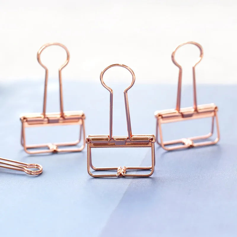 Rose gold metal binder set with eight small and six large folders for tickets and papers.