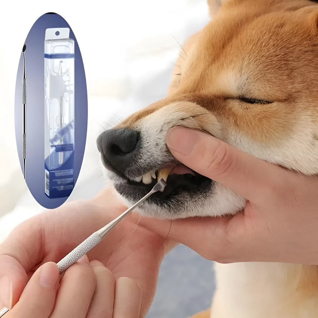 White Pet Beauty Pen stainless steel tool for cleaning pet teeth and removing calculus and tartar