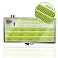 Two eyelashes planting eyelashes in 6mm 8mm 10mm and 12mm lengths