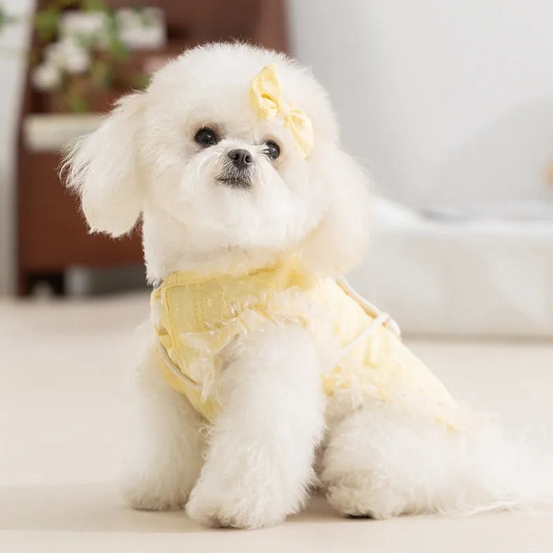 Small dog wearing blue country outfit with matching bow and small woven crossbody bag