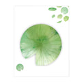 Set of eight leaf-shaped sticky notes with botanical designs including water lily, ginkgo, and maple leaf patterns