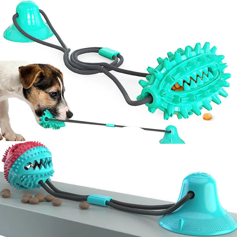 Green TPR sucker dog toy cactus with molar stick and leaking ball on a smooth floor