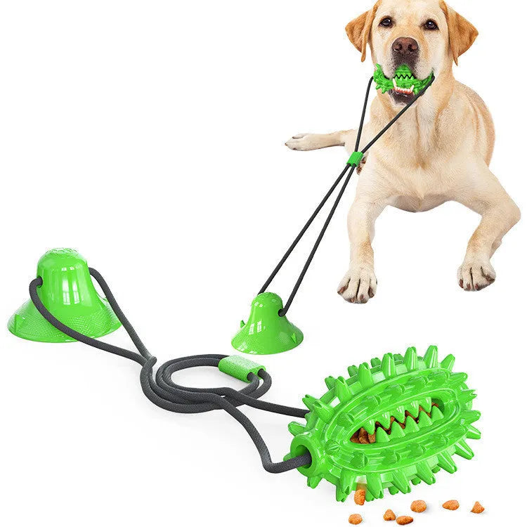 Green TPR sucker dog toy cactus with molar stick and leaking ball on a smooth floor