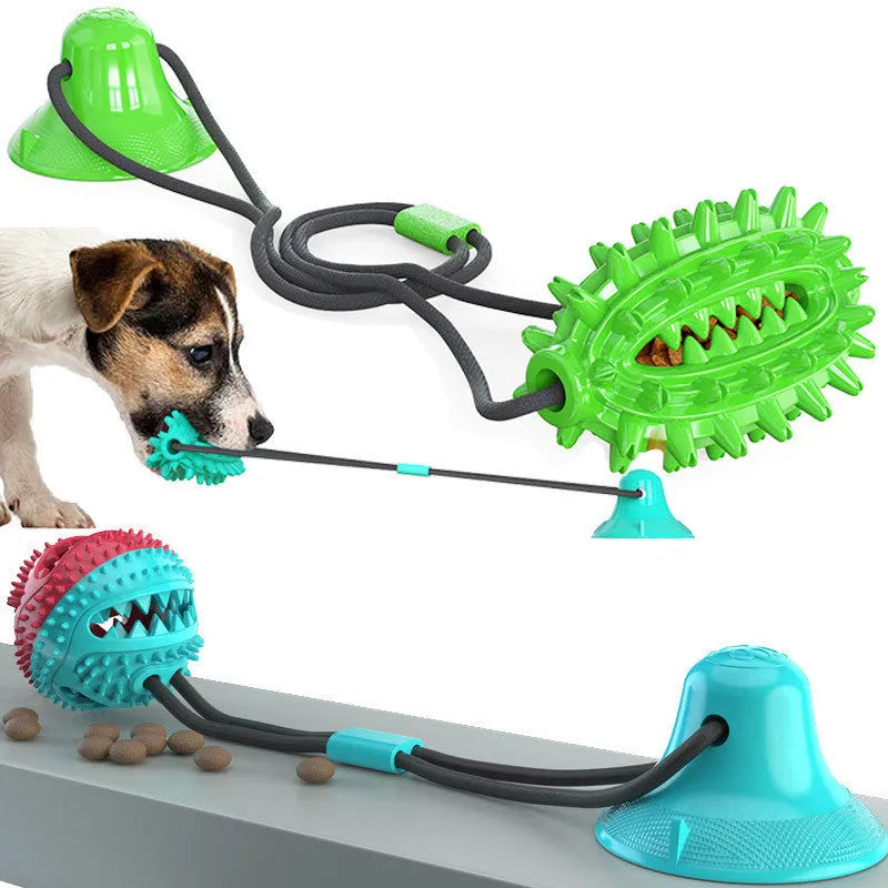 Green TPR sucker dog toy cactus with molar stick and leaking ball on a smooth floor