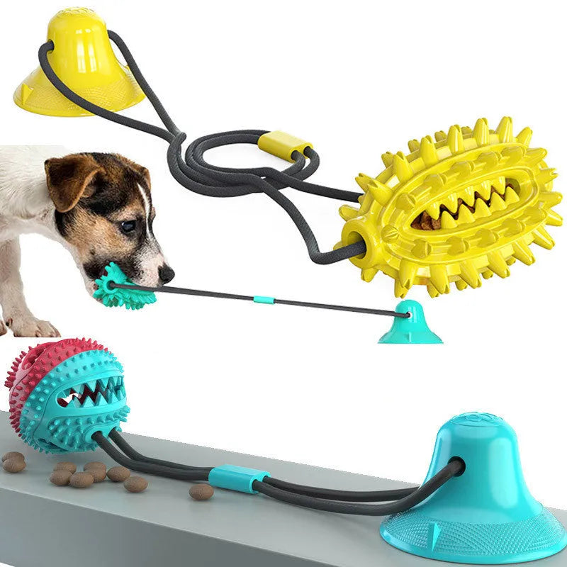 Green TPR sucker dog toy cactus with molar stick and leaking ball on a smooth floor