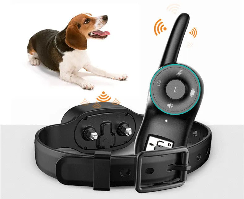 Remote control dog training collar with waterproof rechargeable design in black and orange colour options