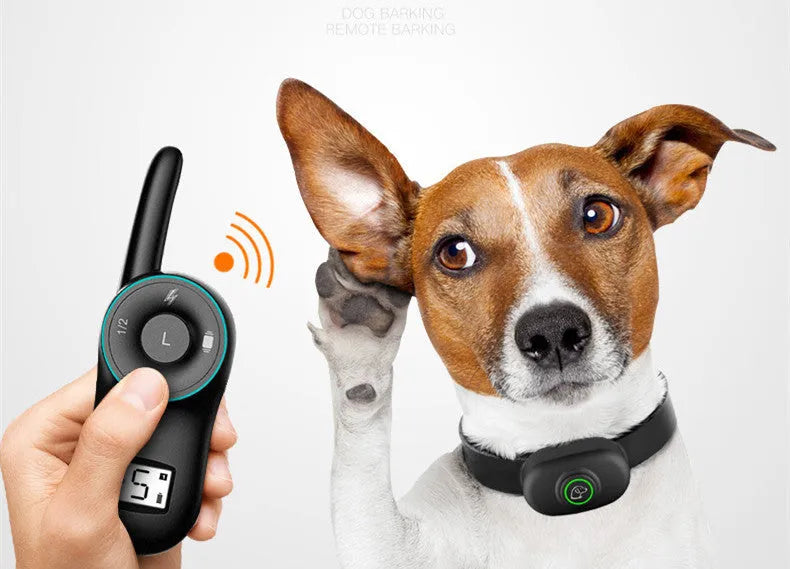 Remote control dog training collar with waterproof rechargeable design in black and orange colour options