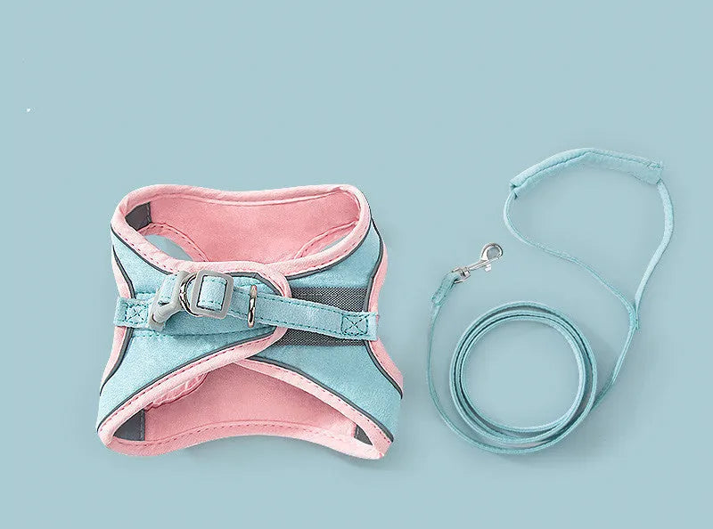 Cat traction rope chest strap harness in green orange stitching on a small dog showing reflective strip