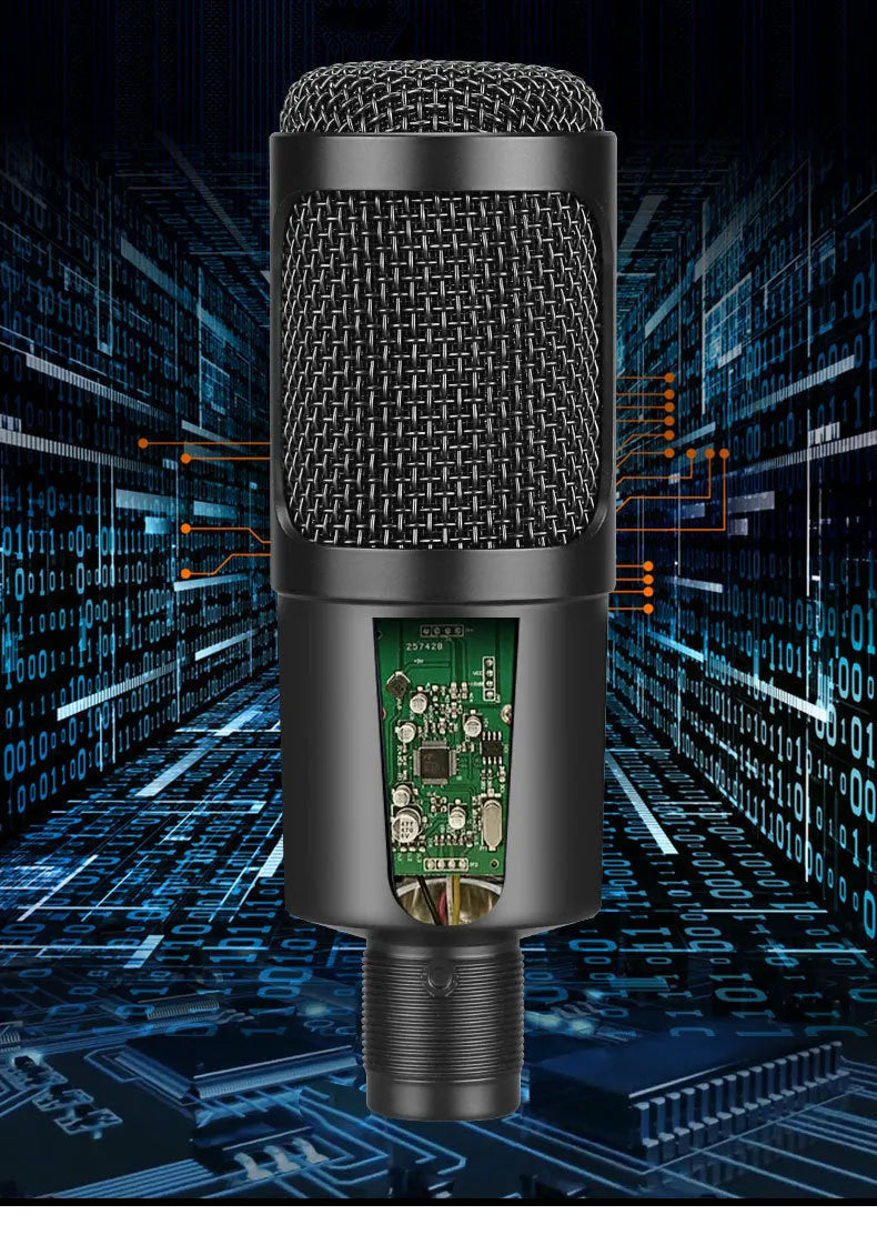 Black USB condenser microphone mounted on an adjustable desktop stand for computer recording.