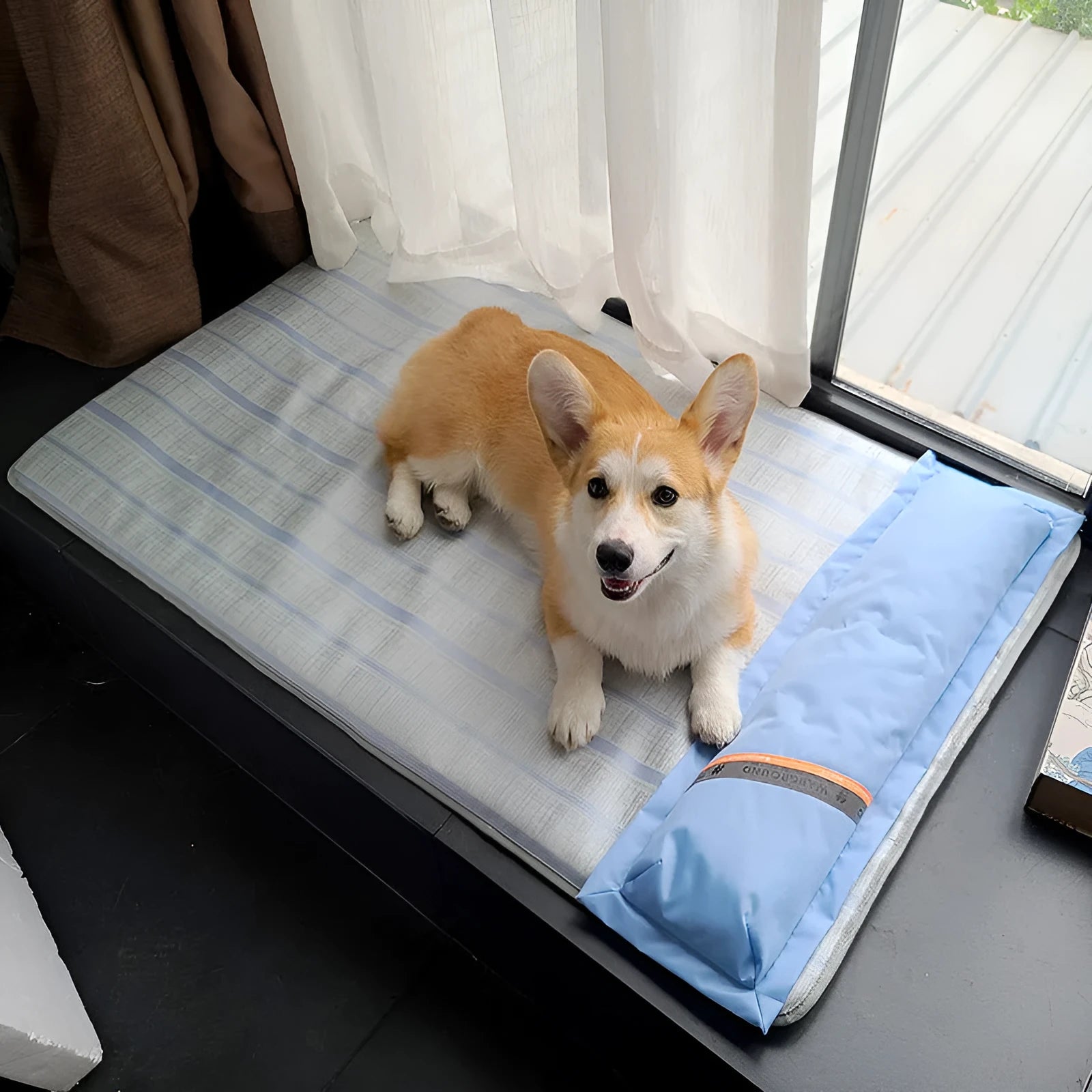 Polyester dog cooling mat with ice silk surface in four sizes S M L XL for pets
