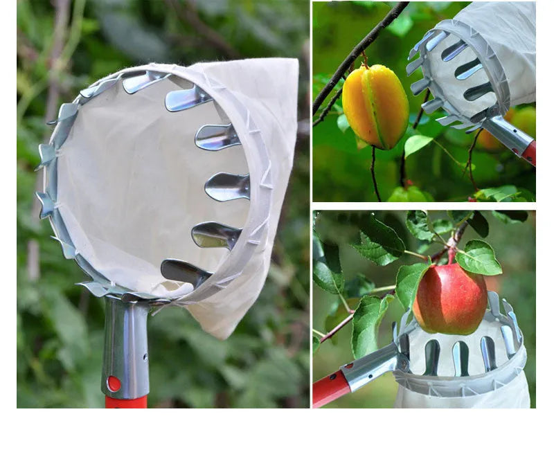 Steel frame fruit picker tool with cloth bag basket for garden harvesting