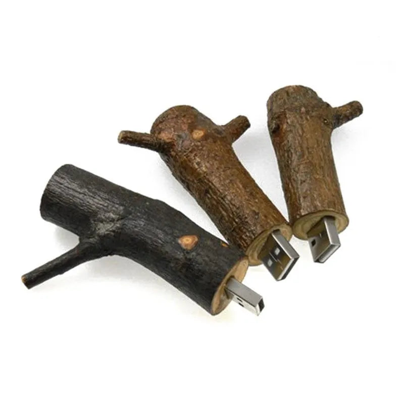Jaster natural wood USB 2.0 flash drive in tree branch design with write protection switch on wooden surface