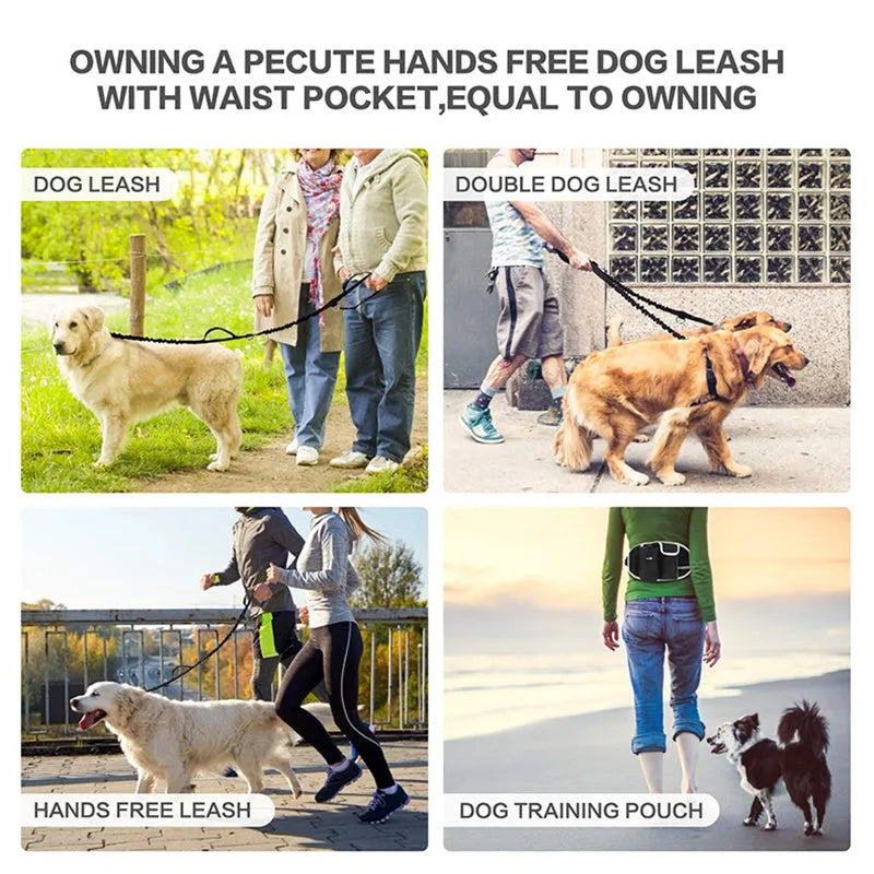 Dog training waist bag with drawstring pocket and mesh pouches for treats, clicker, and phone, in Oxford cloth, black colour