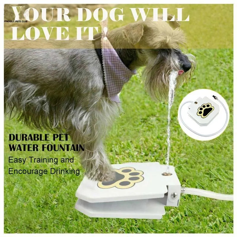 Paw-activated stainless steel dog water fountain, 22x21.5x5cm, with garden hose connector and copper valve