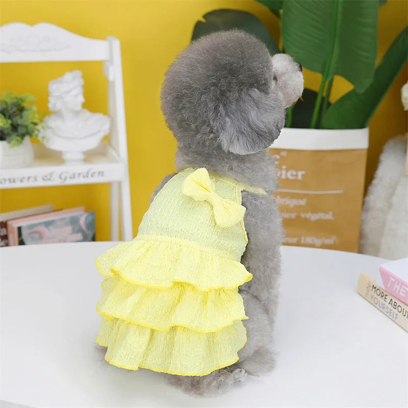 Small dog wearing a rose red princess dress with a layered candy skirt.
