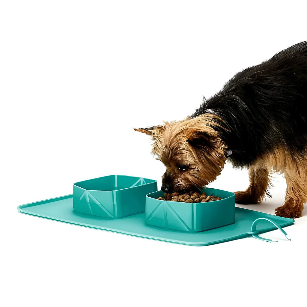 Silicone folding pet bowl in black with non-slip base, measuring 390x235x50mm, for travel and outdoor feeding.