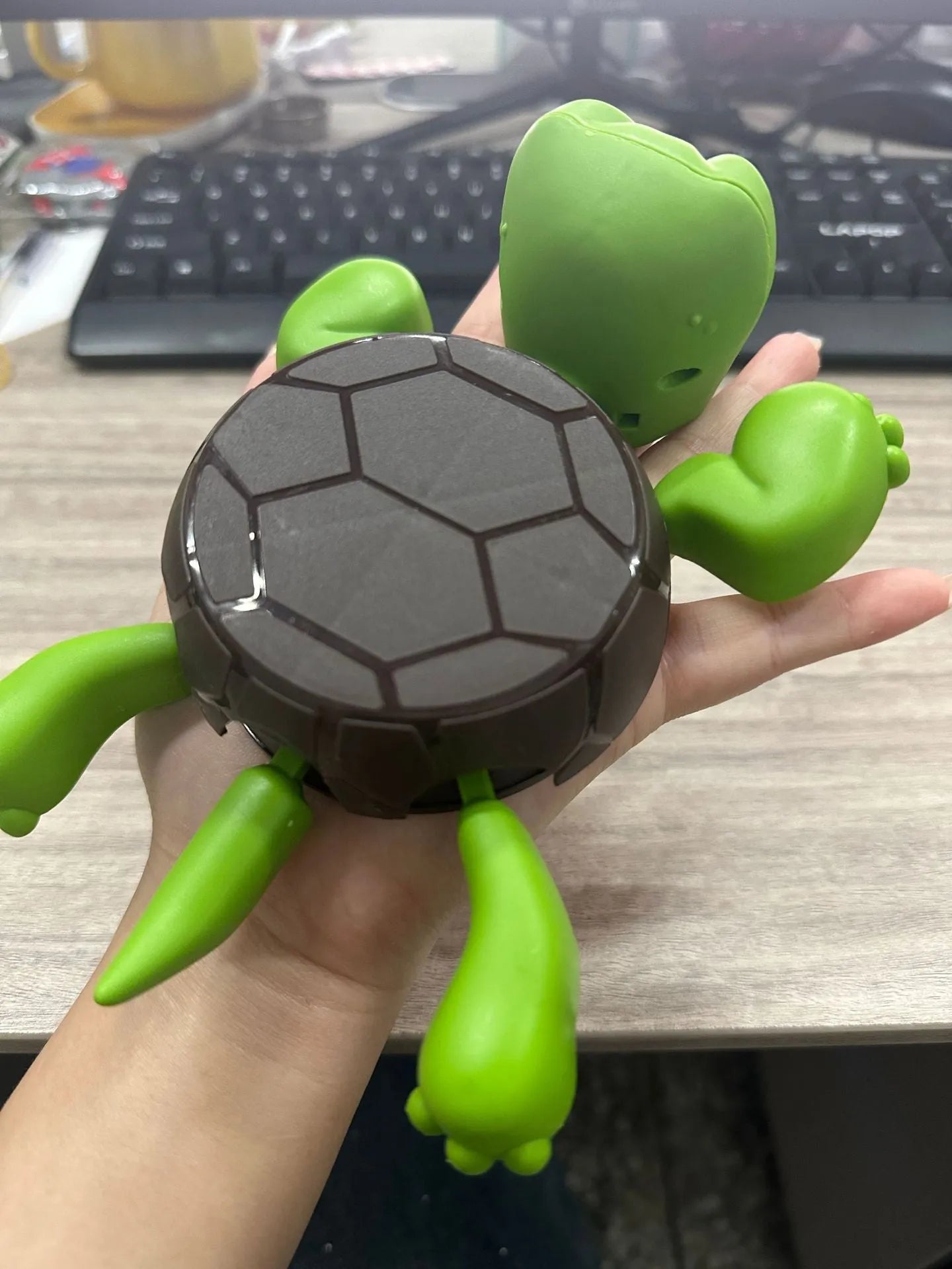 ABS turtle design drink coaster in light green on a table