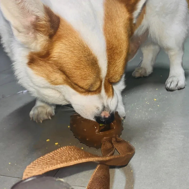 Brown coffee bean-shaped dog chew toy with textured TPR surface and white rope knots.