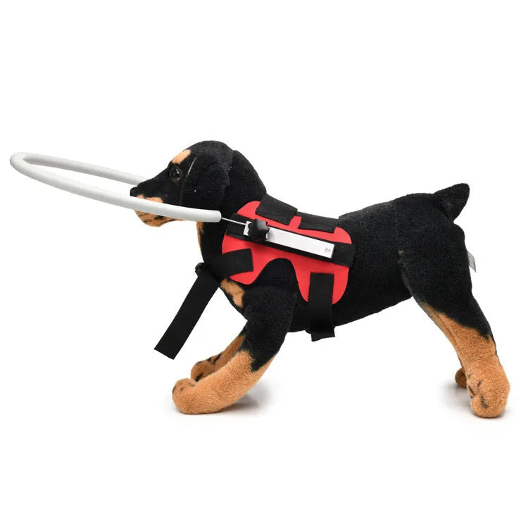 Blue anti-collision ring for blind dogs made of polyester, S size 22cm diameter, shown on a small dog