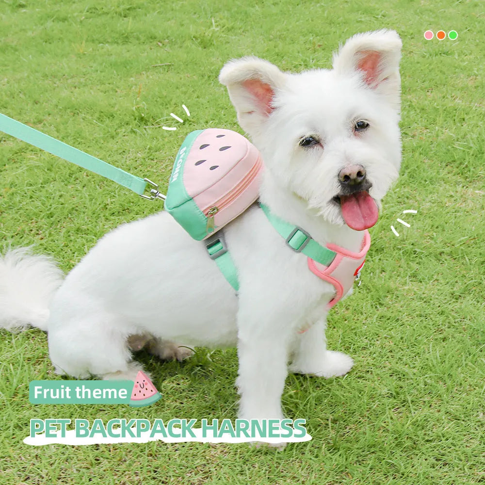 Pet backpack and chest strap set with anti-slip traction rope in green, orange or pink colours