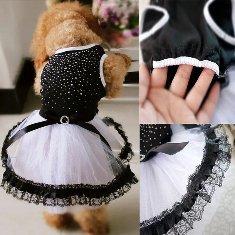 Black lightweight pet clothing made of vinylon for spring and summer, showing a dog in the garment