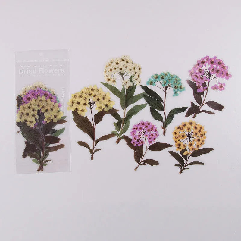 Weekend Flowers PET deco stickers sheet featuring eight floral and nature patterns, within 110x200mm, for scrapbooking and bullet journal DIY stationery