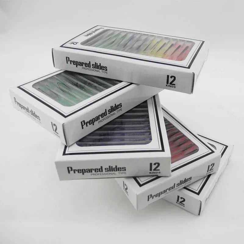 48-piece plastic microscope slide set for children with colour-coded plant, insect, and animal specimens