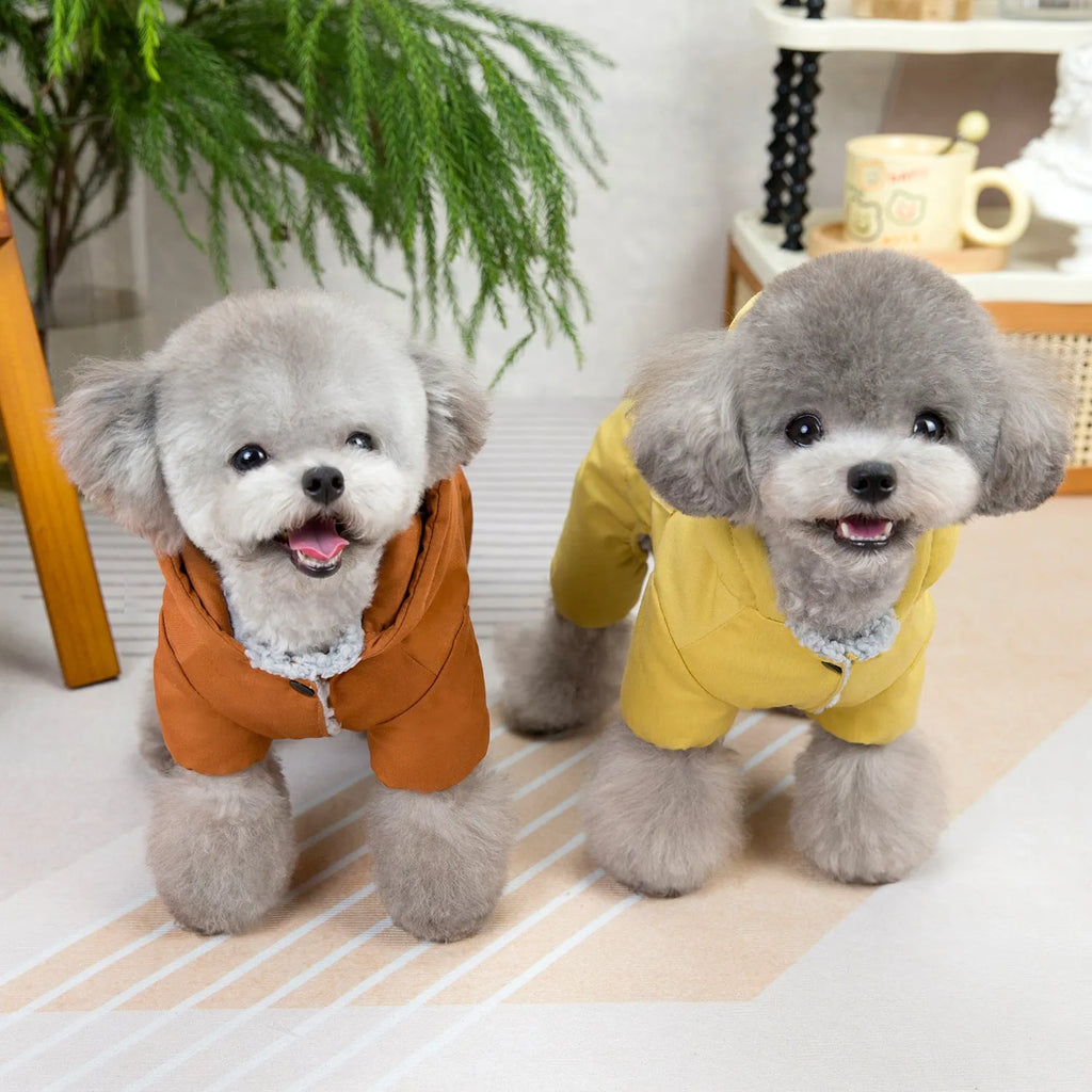 Dog in brown polyester casual autumn winter coat with casual fit