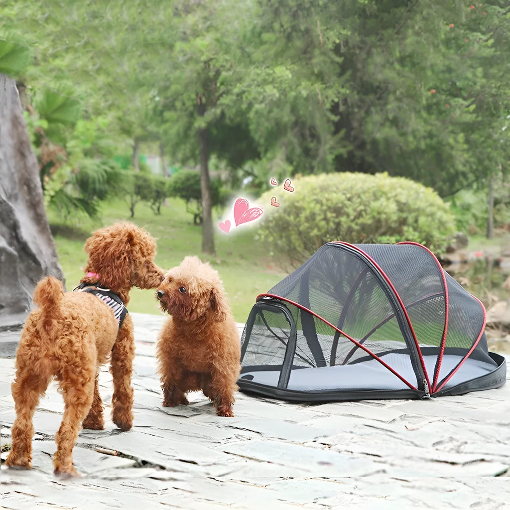 Folding cat tent with mesh panels shown in collapsed and set-up positions