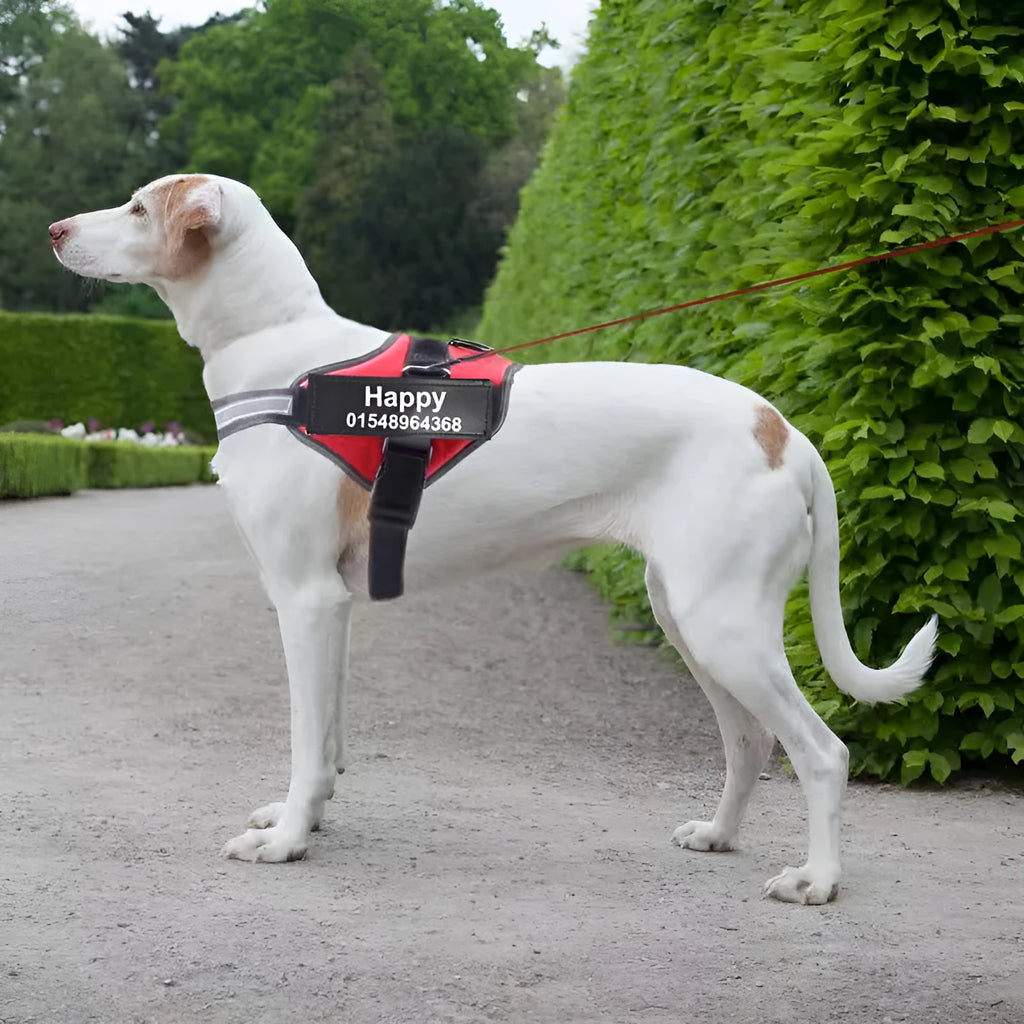 Personalised reflective breathable nylon dog harness in black with adjustable chest strap and handle