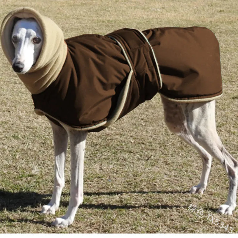 Red pet coat with polar fleece lining on a small dog for autumn winter walks