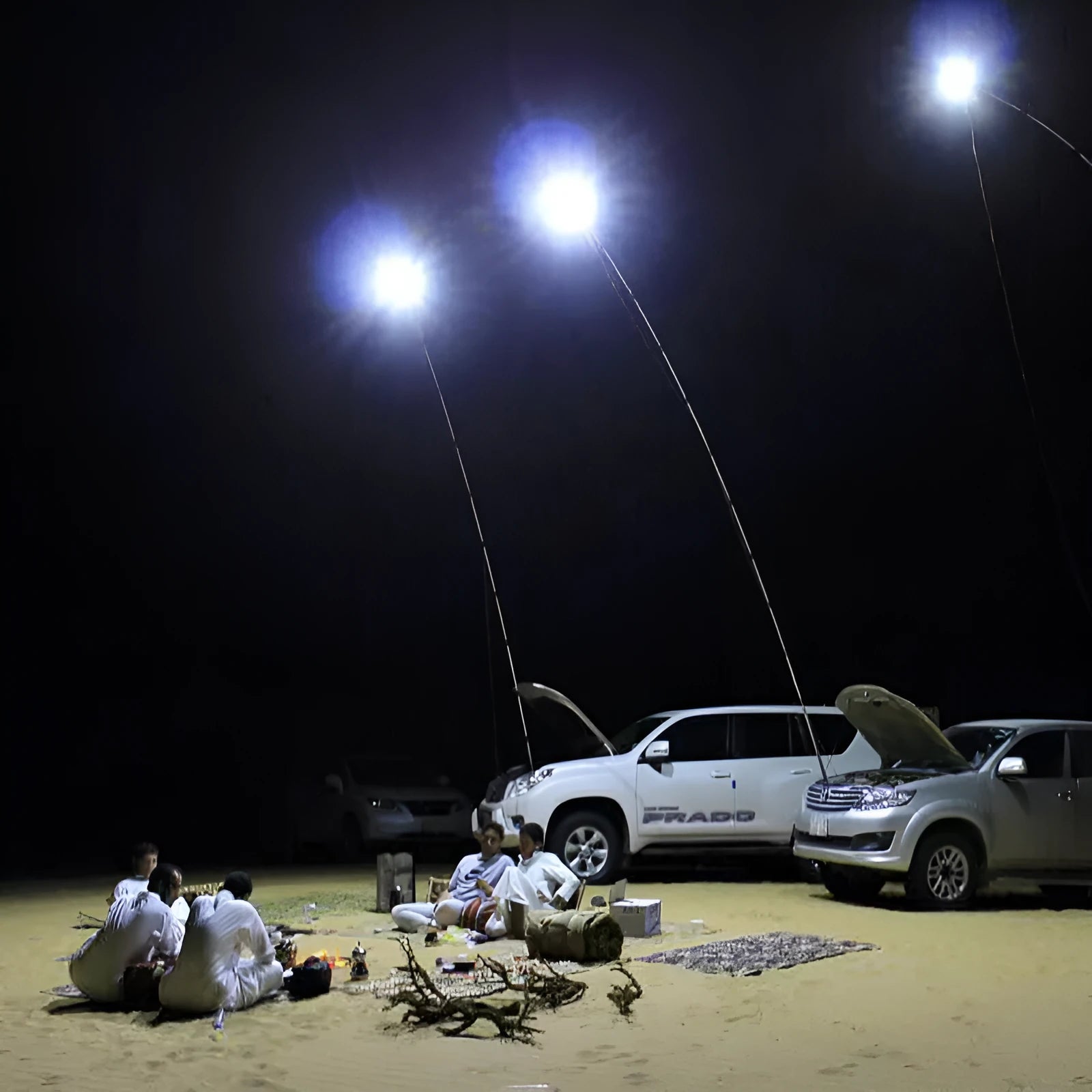 White LED fishing rod light unit on a tall telescopic pole with a remote control for outdoor use.