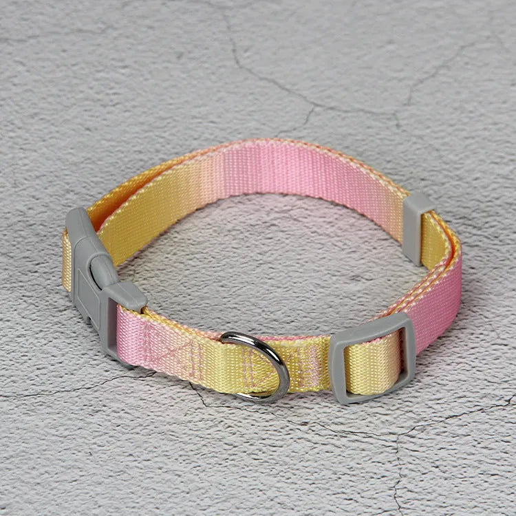 Nylon dog leash set showing gradient colour options including pink blue, yellow blue, pink yellow, and purple green combinations