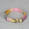 Nylon dog leash set showing gradient colour options including pink blue, yellow blue, pink yellow, and purple green combinations