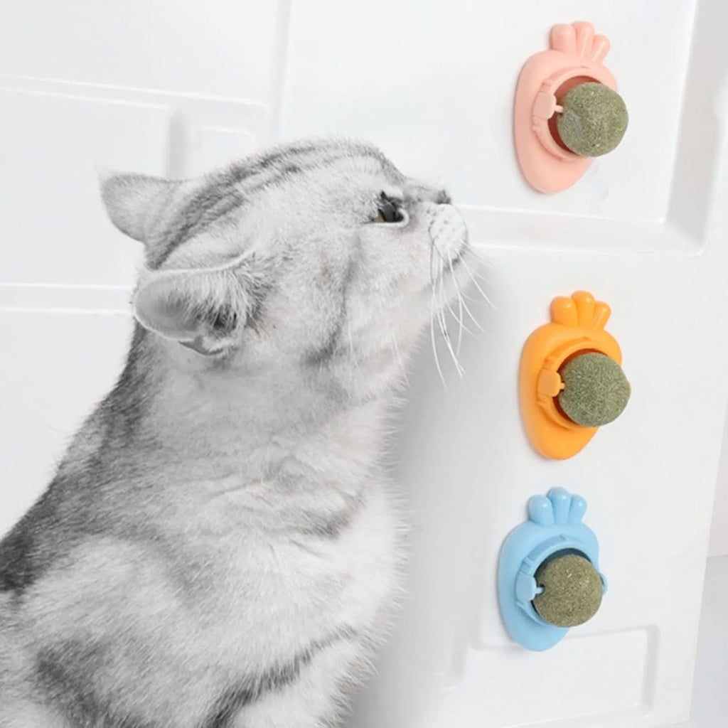 Blue carrot-shaped self-adhesive catnip toy for wall mounting and cat teeth cleaning.
