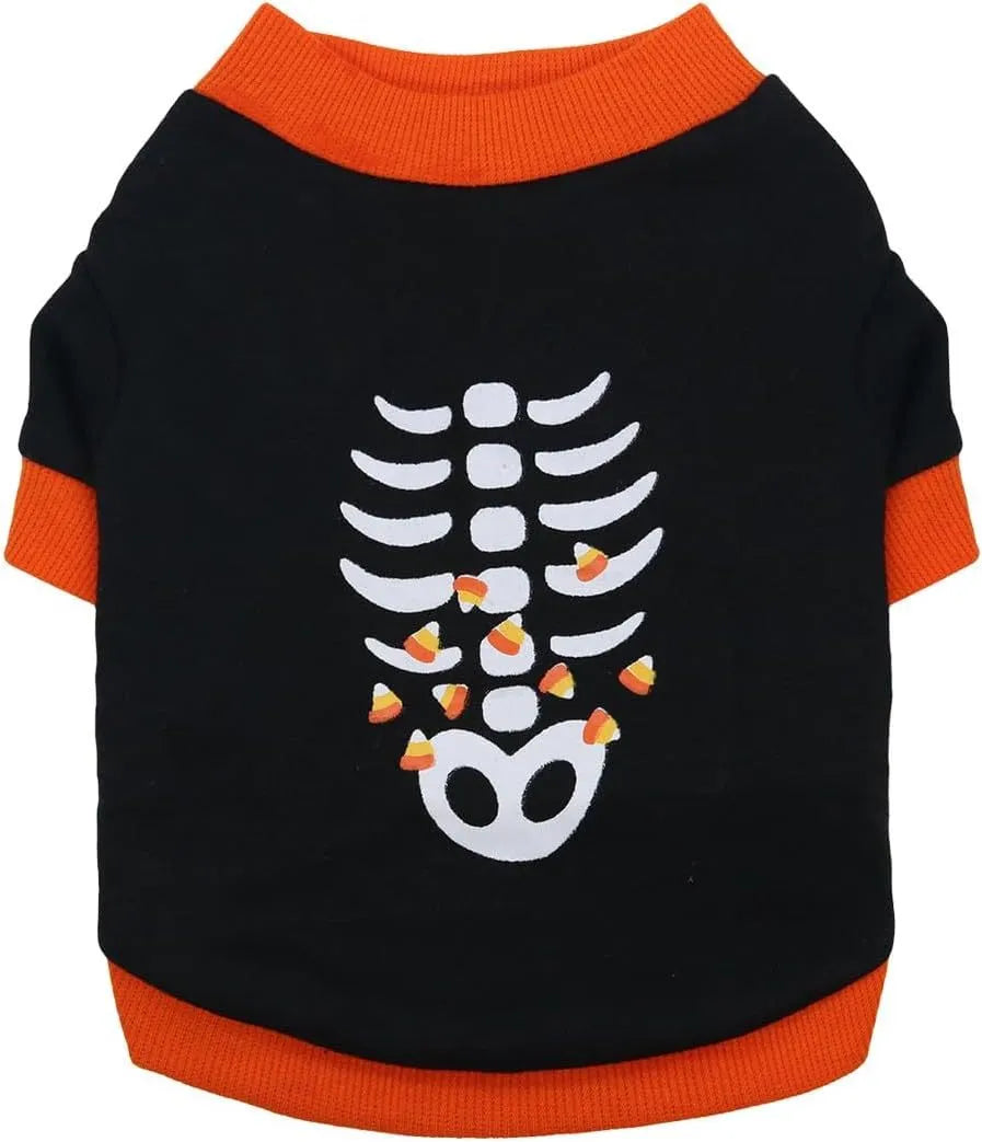 Small dog wearing an orange Halloween skeleton print sweatshirt with ribbed cuffs.