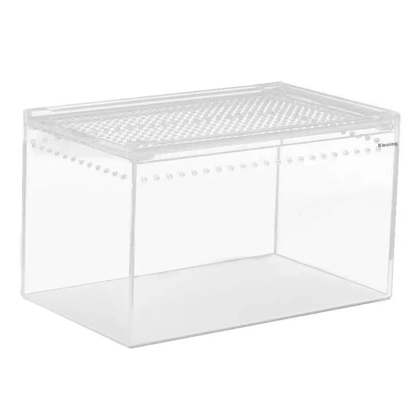 Clear acrylic reptile feeding box showing dimensions for small, medium, large, extra large, and arboreal sizes.