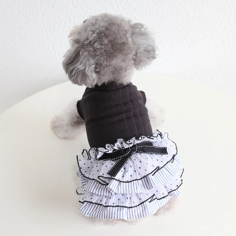 Polka dot lace cake dress pet clothing in princess style for small dogs