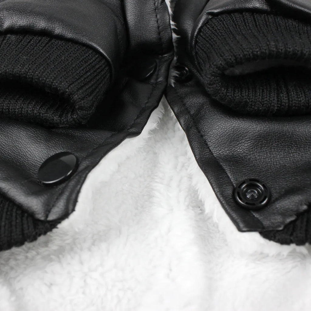 Black leather dog coat with a fur-trimmed collar on a dog, showing British style.