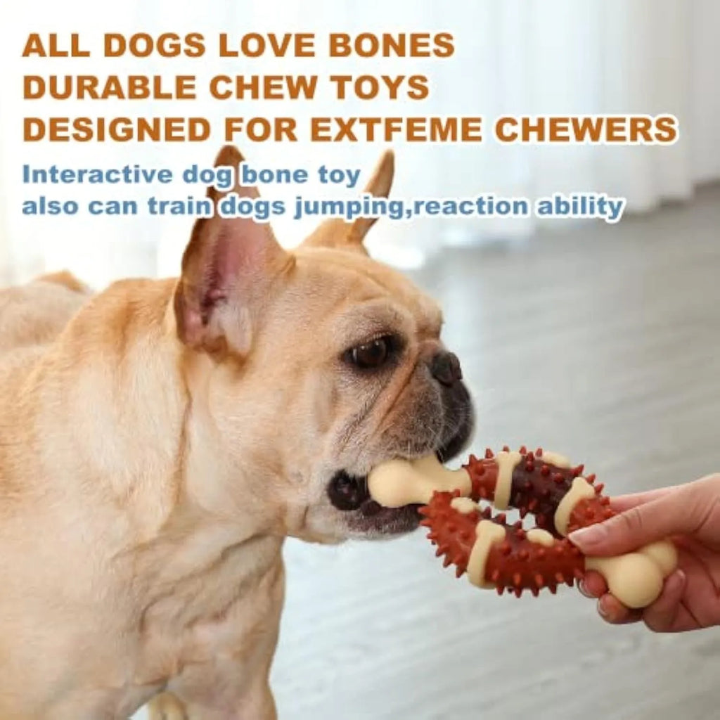 Bone-shaped natural rubber pet molar chew toy shown in two sizes
